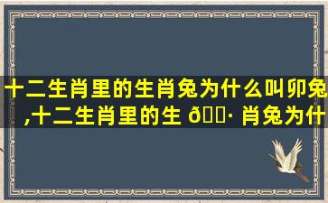 十二生肖里的生肖兔为什么叫卯兔,十二生肖里的生 🕷 肖兔为什么叫卯兔呢